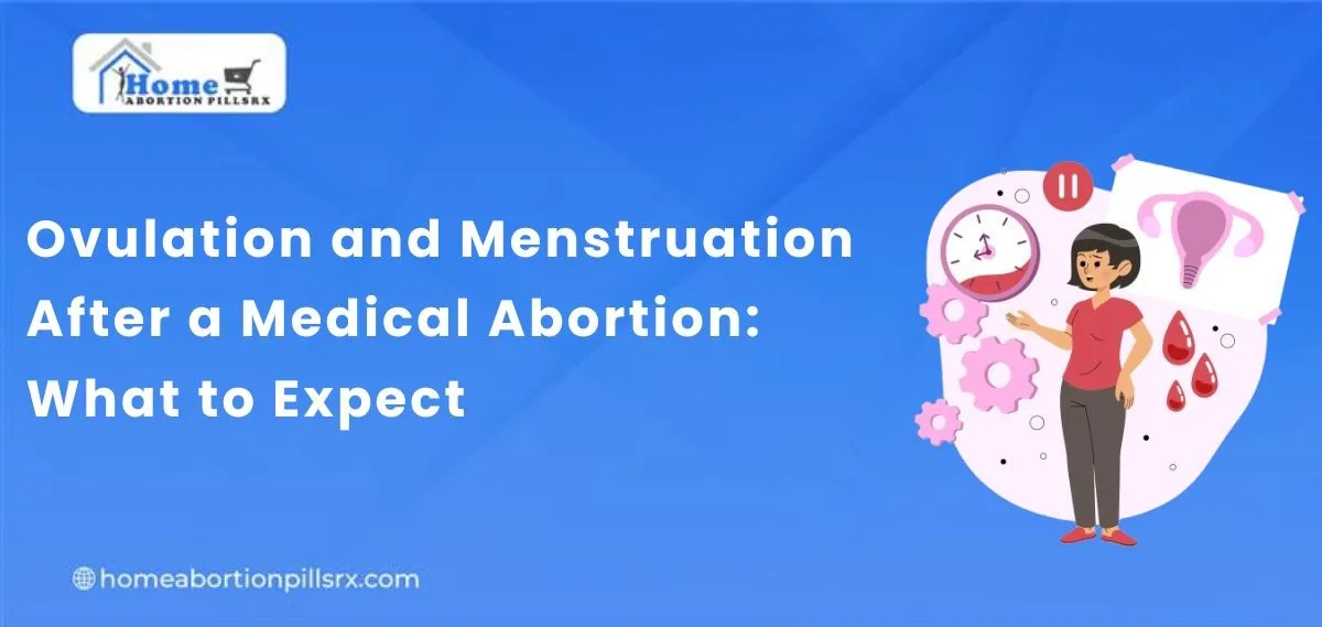 Ovulation and Menstruation After a Medical Abortion: What to Expect